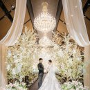 영희의 정원 이미지