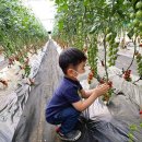 광주농장 이미지