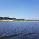 황포돗대 이미지