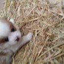 옹기종기 이미지