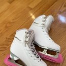 Ice Skates 이미지