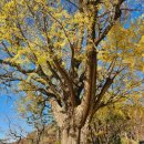 홍승지소아과의원 이미지