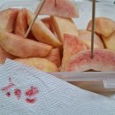 울,731 시맛다시기 이미지