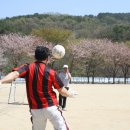 하빈면사무소 이미지