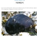 섭 이미지