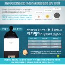 초원세경아파트 | 신혼집 새집증후군 확실한 제거방법 안양 평촌 초원세경아파트 반딧불이 새집증후군 시공 후기
