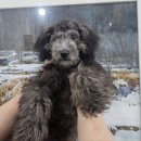 인봉초등학교 이미지