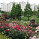 장미공원 주차장 입구 이미지