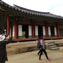 카페이우 Daum카페