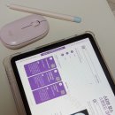 현지에서 먹히는 리얼 실전 영어여행 | [ STUDY ] 성인영어학습지 1위, 777영어 학습지 실전편 리얼 후기 💚