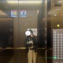 흥안마켓 | 벌써 2월이라니,, 세상빠르다 빨라 수영으로 채운 Feb. 20/28 🏊🏻‍♀️🩱