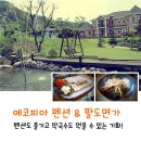 [마감] [평창] 에코피아 펜션&amp; 팔도면가 여행 패키지모집(3명) ~5.3