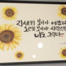 미경미용실 이미지
