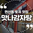 맛깔참죽연산토곡점 | 연산동 토곡 맛집 애견동반 가능한 '맛나감자탕' 방문후기