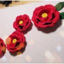 동백꽃약국 이미지