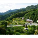 박달재자연휴양림 이미지