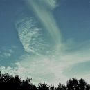 새마을 지도자의 탑 이미지