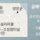 눈꽃나무 이미지