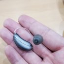 성경의료기 | 충주보청기 돌발성 난청 고객 착용 후기