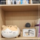 서초성모정신건강의학과의원 이미지