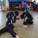 경찰경호무술관 이미지