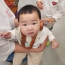 (주)수달앤쥬 | [수원 실내동물원 후기] 수달앤쥬 방문기 – 아이와 함께한 수달, 카피바라 체험!