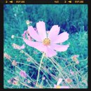 비움(Beum) 이미지