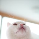 주앤동물병원 이미지