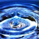 메이트 피티 이미지