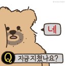 선길목장 | 블로그 업로드 벌써 지쳤나요? 네.