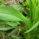 수서농장 이미지