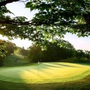 현플라워 이미지