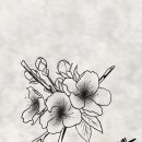 아름다움을새기다 이미지