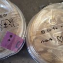 오이이(oee)