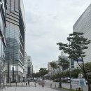 2156 | 대전 둔산동 미용실, 루시드헤어 (25년 예비신부 본식 염색 솔직후기)