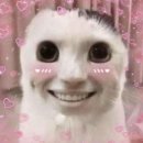 강*근 - 미추홀구 미추로 31-1 | 강*근