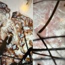 동안평생교육센터 | 호원동피부관리 가꾸는동안&amp;숲칼프 의정부교육센터 방문후기