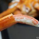 날으는산오징어 이미지