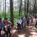 금어로2 이미지