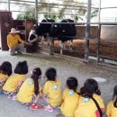 온양목장 이미지