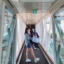 여름이네민박 이미지