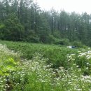 공명농장 이미지