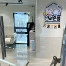 진북동-12(자원봉사센터) | 고양시 동물보호센터 반려동물입양센터 반려온뜰 봉사 후기