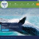 SEALIFE 부산아쿠아리움(멀린엔터테인먼트코리아(주)) | 씨라이프 트러스트 코리아!