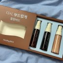 리바이브헤어(Revive hair)