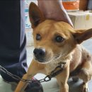 통큰주유소 이미지