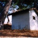 대촌1리 이미지