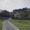 서생포왜성주차장 이미지