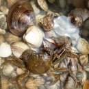 딱정벌레펜션 이미지