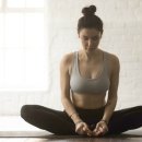 짐엑스텐 이미지